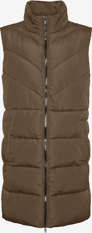 Noisy may Vest 'Dalcon' in Brown: front