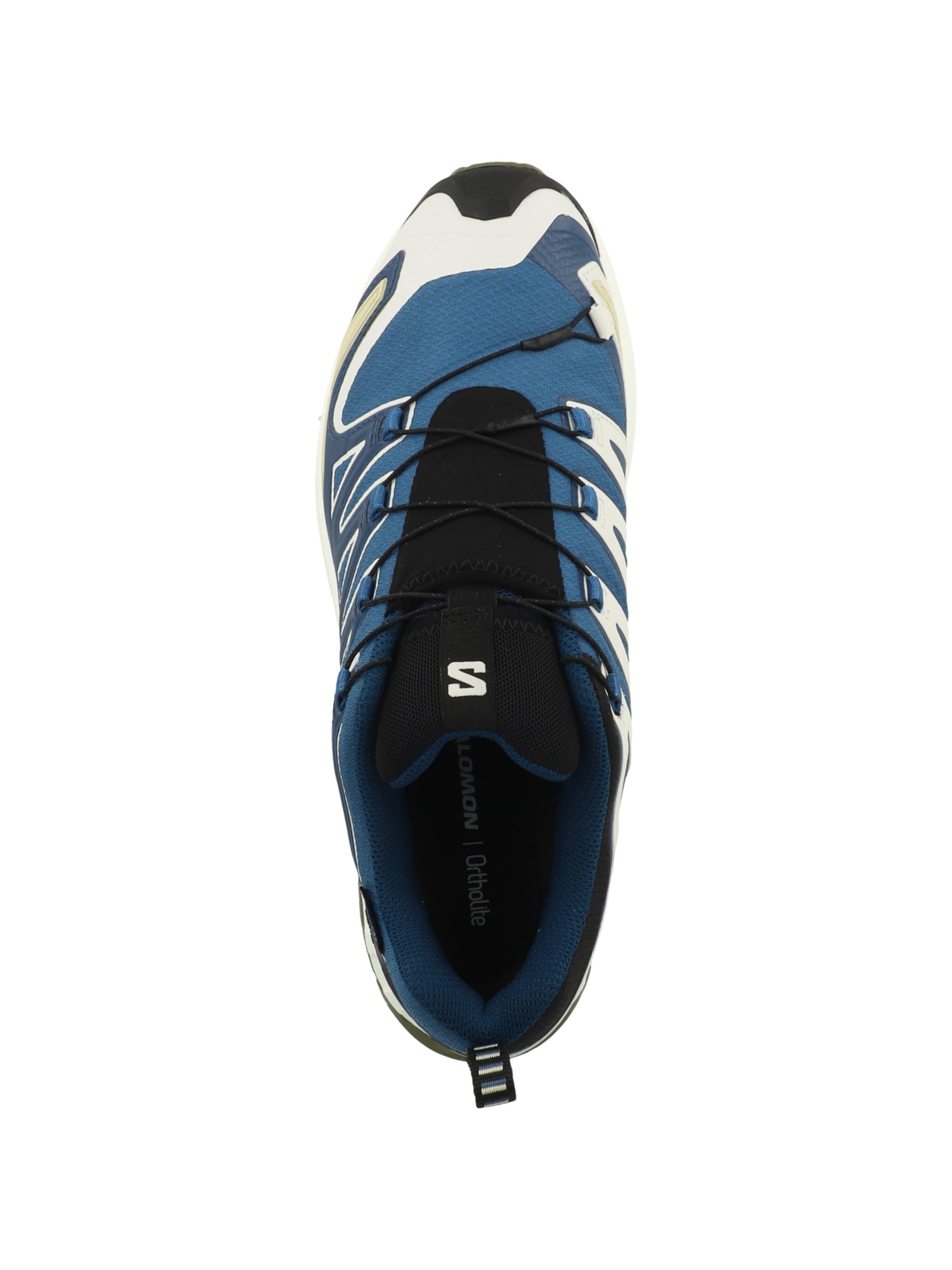 SALOMON Loopschoen 'XA Pro 3D V9' in Blauw