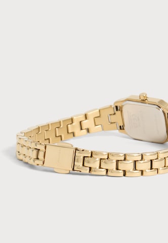 Calvin Klein - Reloj analógico 'SOFT FORM' en oro: atrás