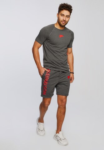 Leif Nelson Gym T-Shirt Rundhals in Grau