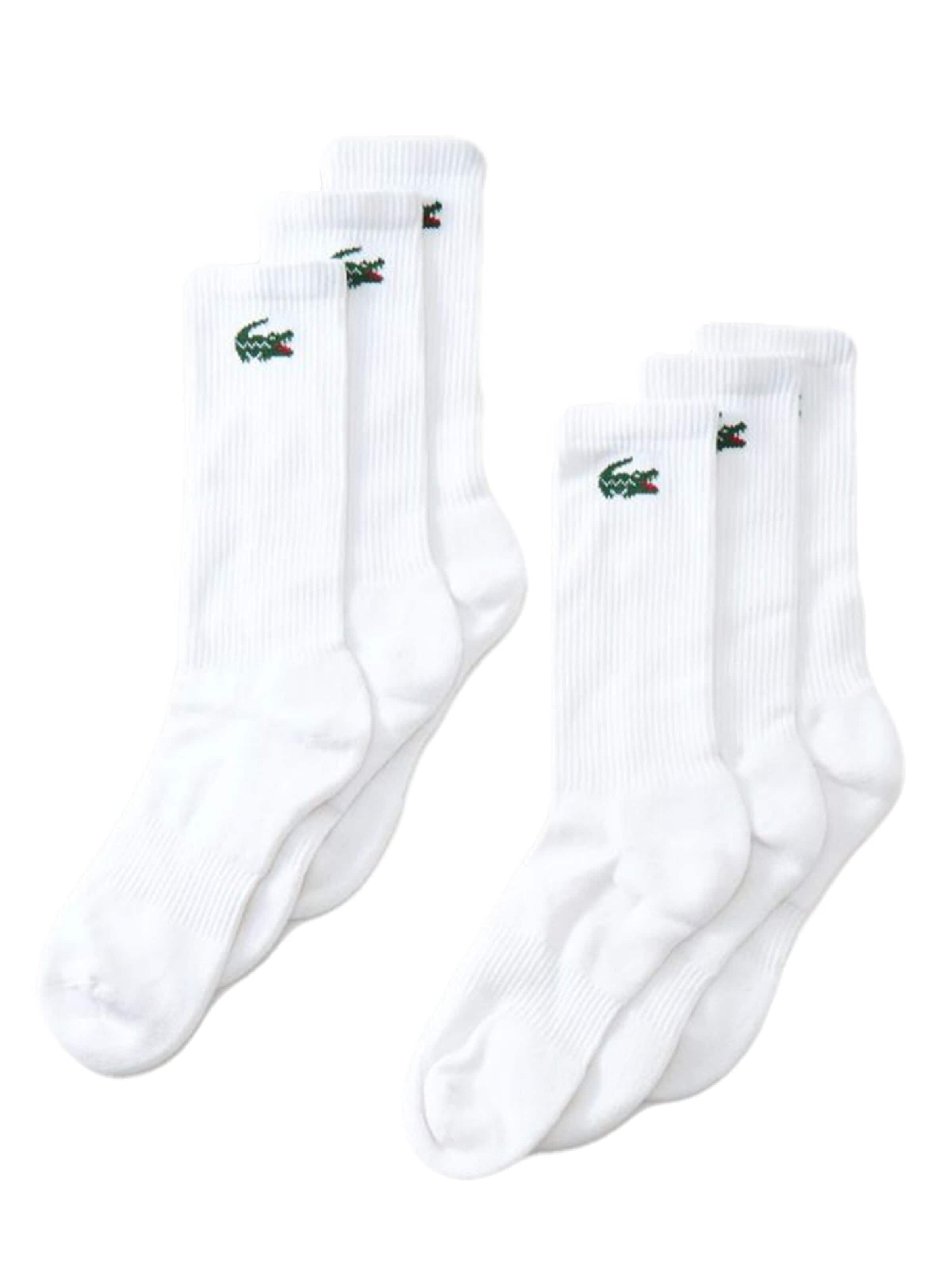 Calzino '6PK WHITE' di LACOSTE in bianco: frontale
