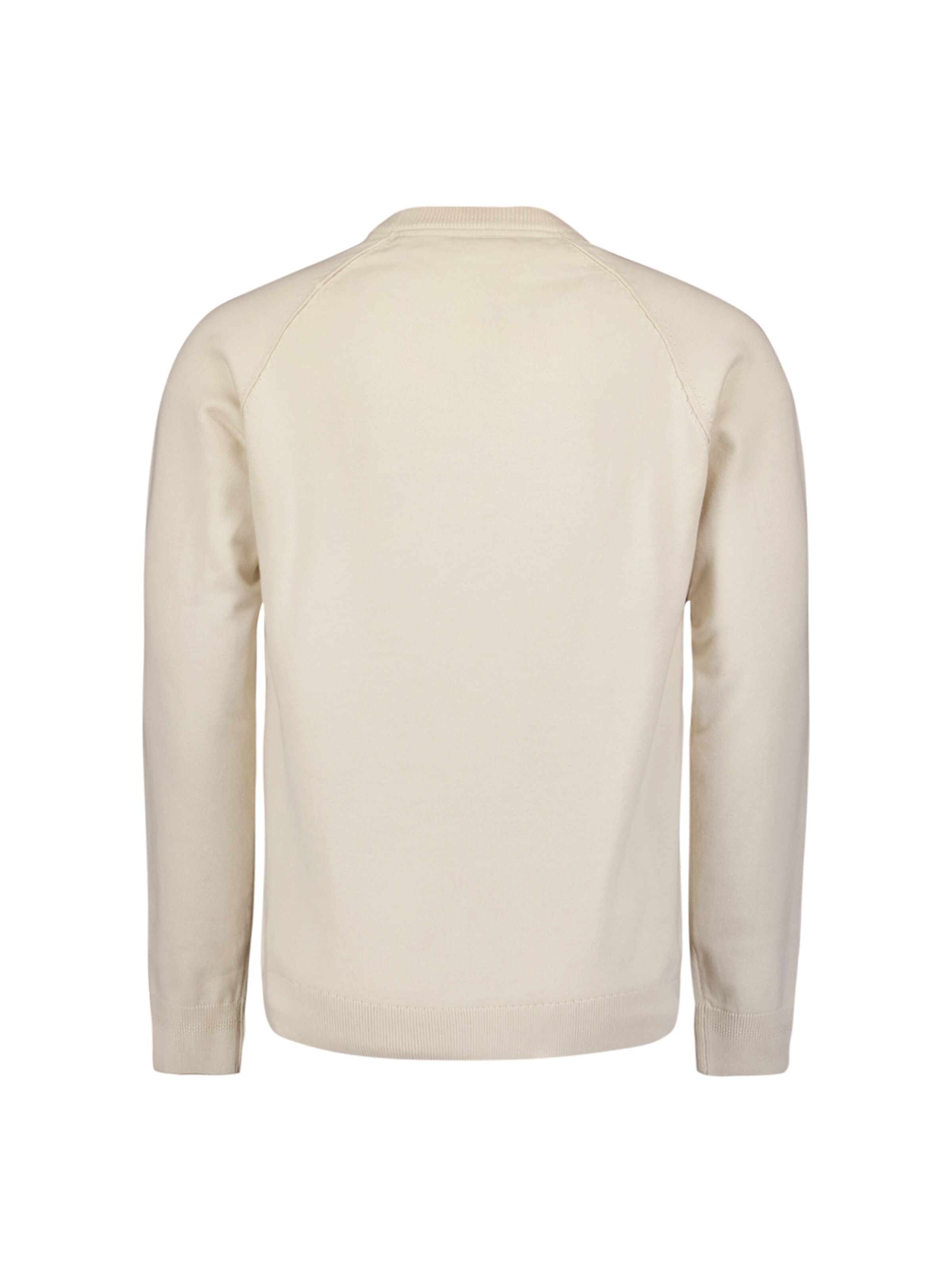 No Excess Pullover in Beige