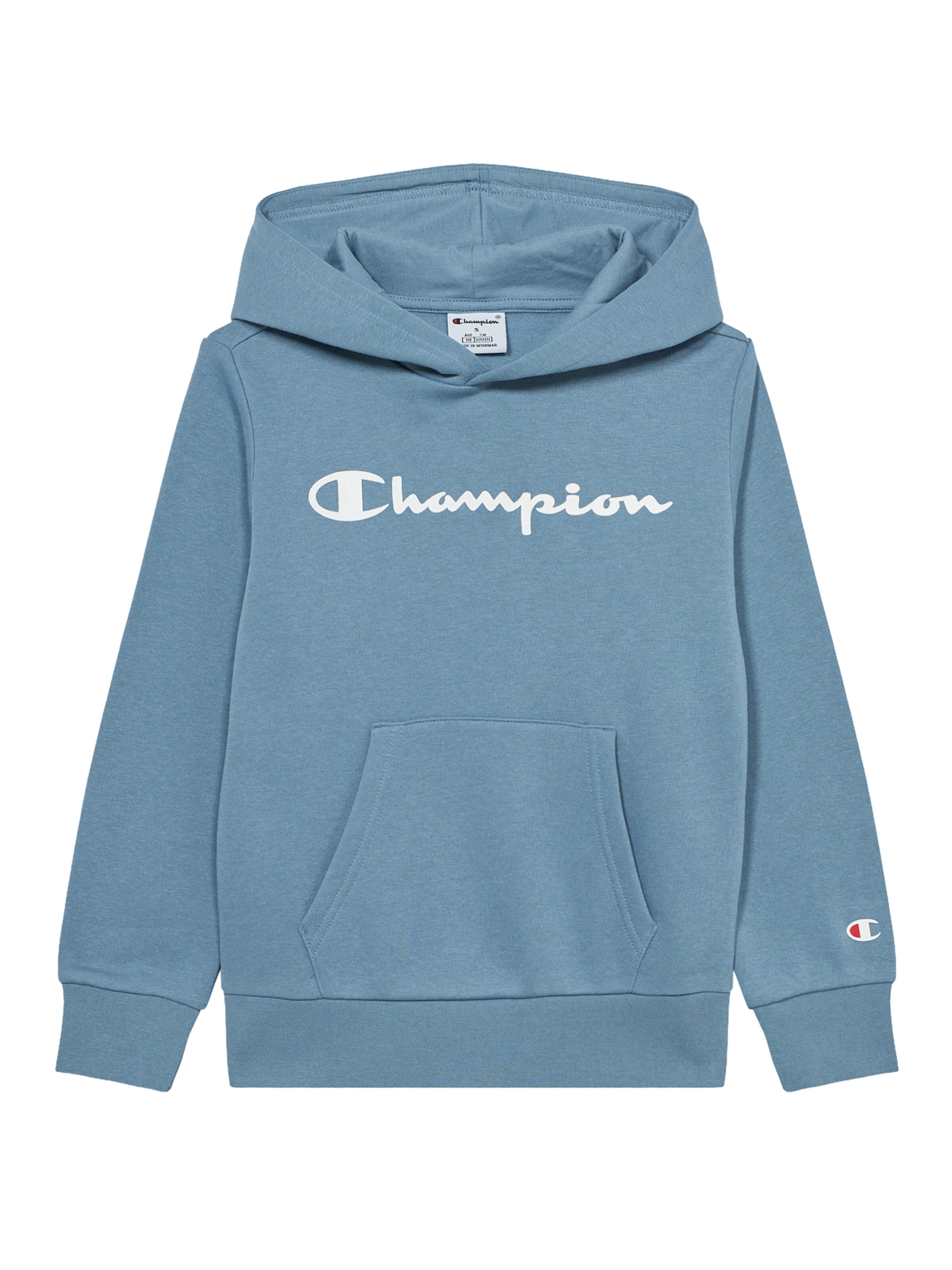 zils Champion Authentic Athletic Apparel Sportisks džemperis: no priekšpuses