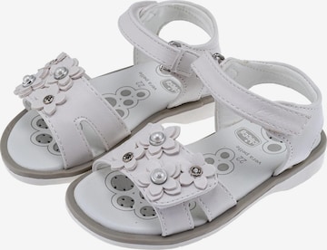 CHICCO Sandalen 'Cetra' in Wit