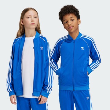ADIDAS ORIGINALS Bluza rozpinana 'Adicolor' w kolorze niebieski: przód