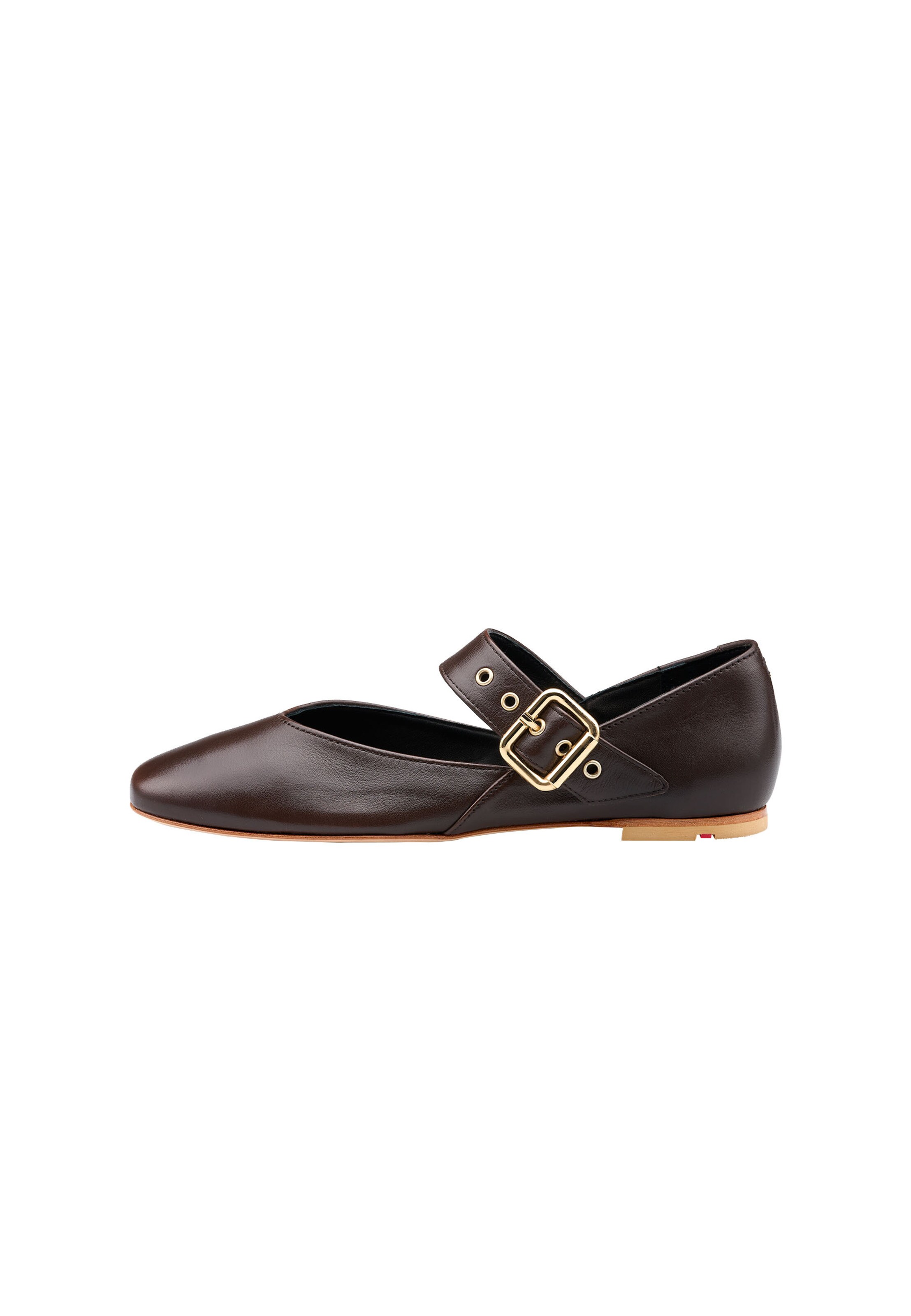 LLOYD Strap ballerina in Brown: front