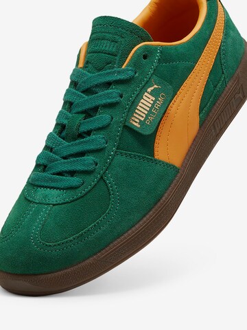 Sneaker bassa 'Palermo' di PUMA in verde