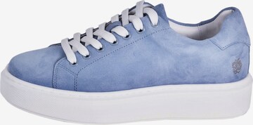Apple of Eden Sneaker in Blau