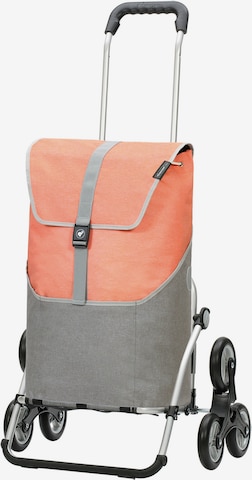 Trolley 'Vigo' di Andersen Shopper in grigio: frontale