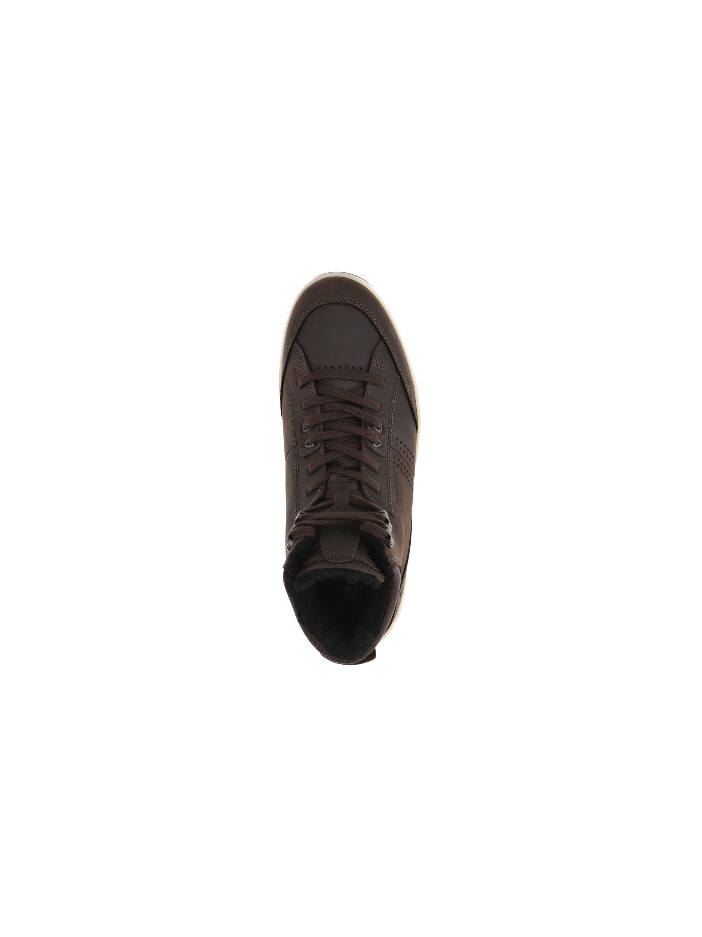 ECCO Lace-Up Boots 'Byway Winter' in Brown