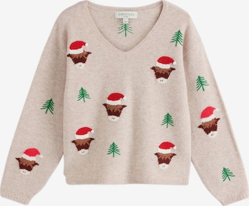 Next Pullover in Beige: Vorderseite