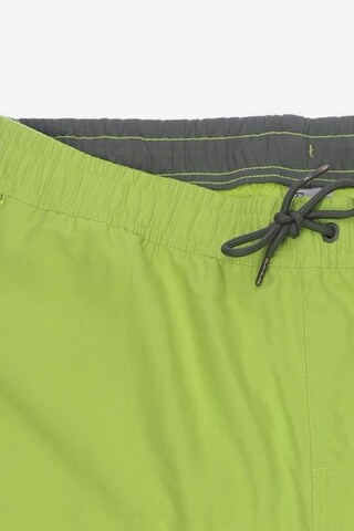 Petrol Industries Shorts in 38 in Green