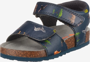 Sprox Sandals & Slippers in Blue: front