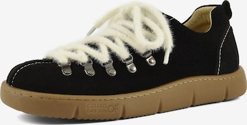 COLORS OF CALIFORNIA - Zapatillas deportivas bajas en negro: frente