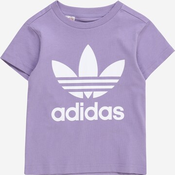 ADIDAS ORIGINALS Shirt 'Adicolor Trefoil' in Purple: front