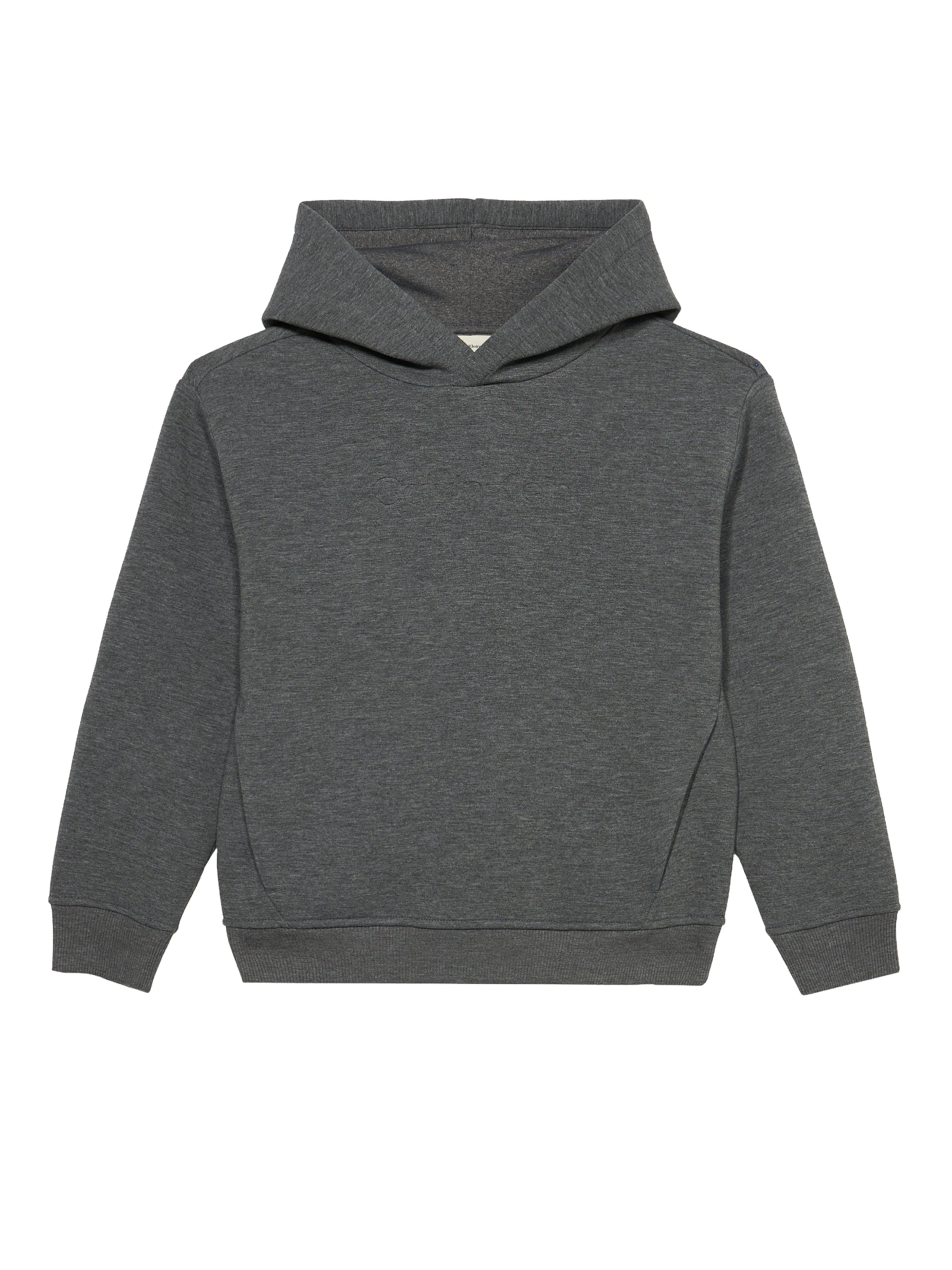 Felpa di Calvin Klein Jeans in grigio: frontale