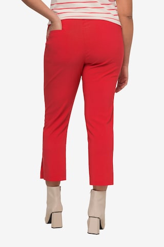 MIAMODA Regular Pants in Red