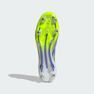 Scarpa da calcio 'F50 Elite' di ADIDAS PERFORMANCE in lilla