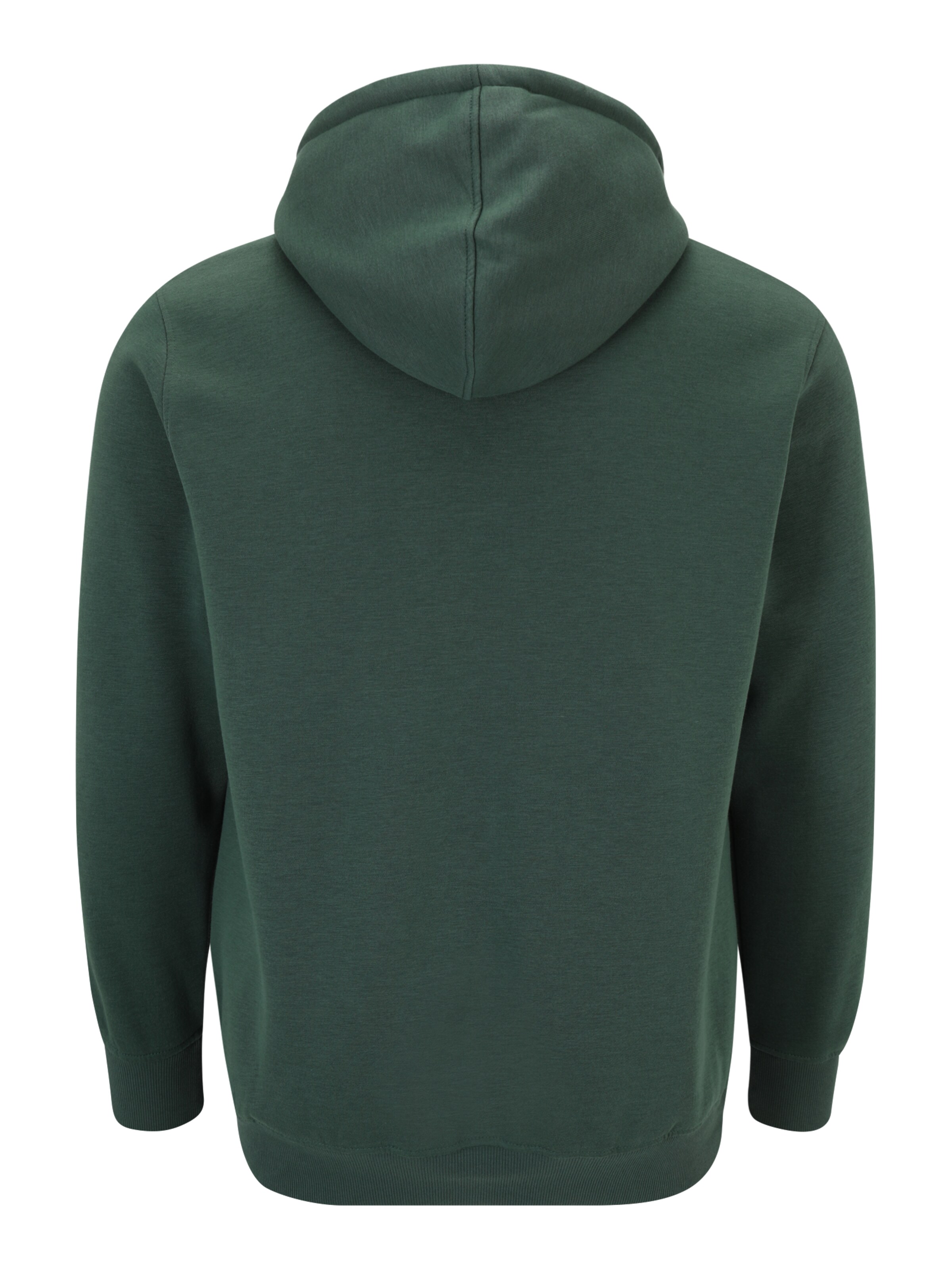 Männer Große Größen Jack & Jones Plus Sweatshirt in Grün - ZV59215 Männer Große Größen Jack & Jones Plus Sweatshirt in Grün - ZV59215
