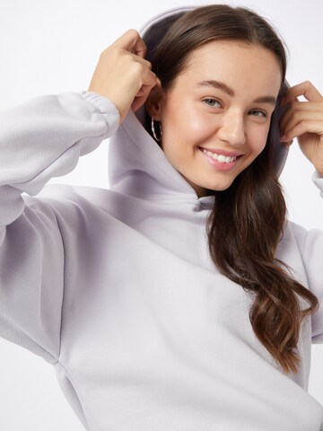 Urban Classics Sweatshirt in Purple