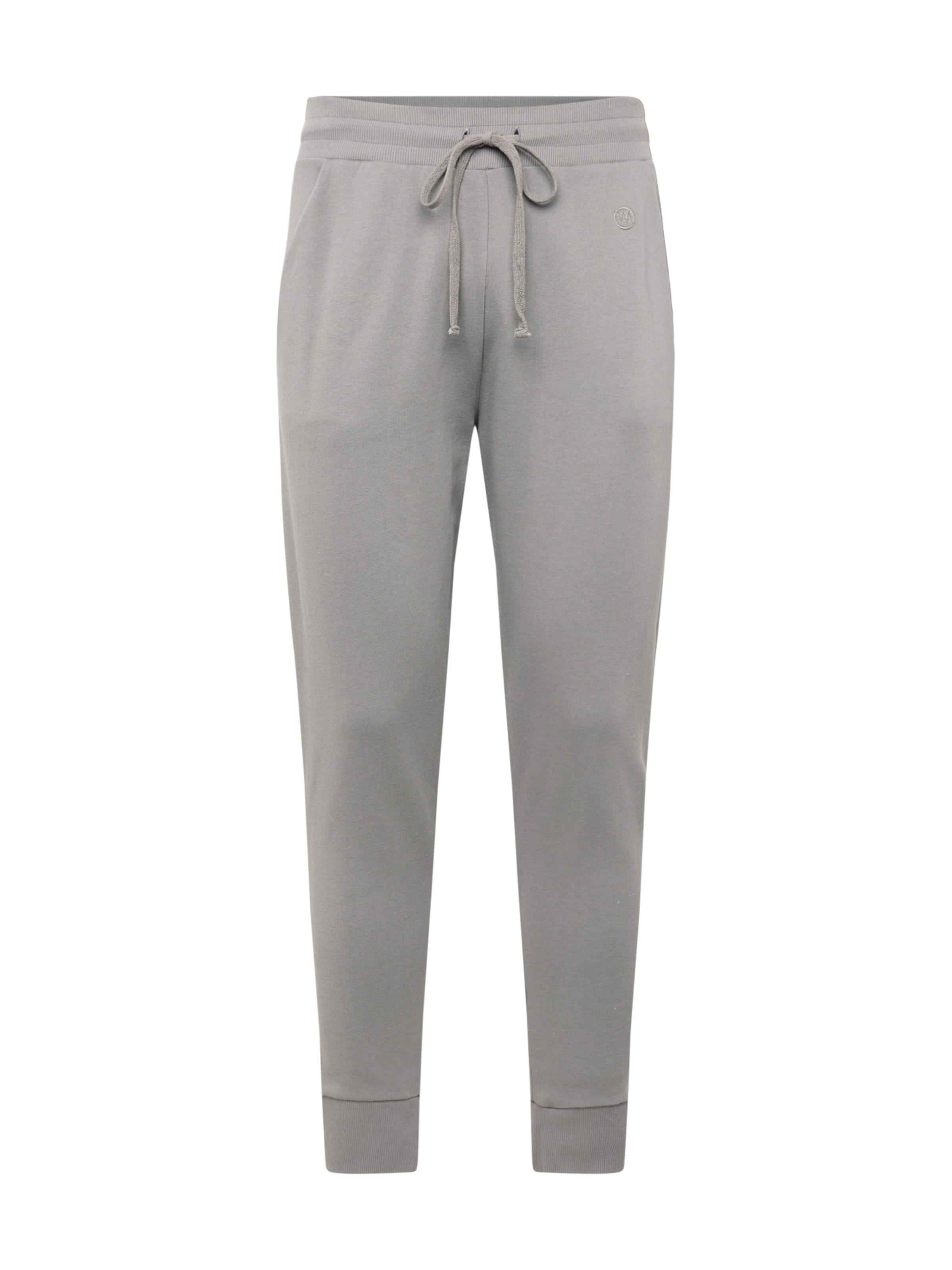 Pantaloni di WESTMARK LONDON in grigio: frontale