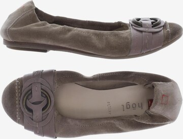 Högl Flats & Loafers in 37,5 in Beige: front