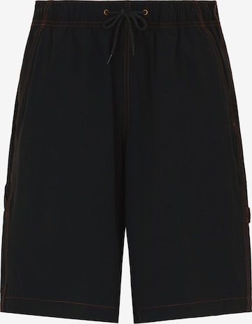 DICKIESLoosefit Cargo hlače 'Wilsall' - crna boja: prednji dio