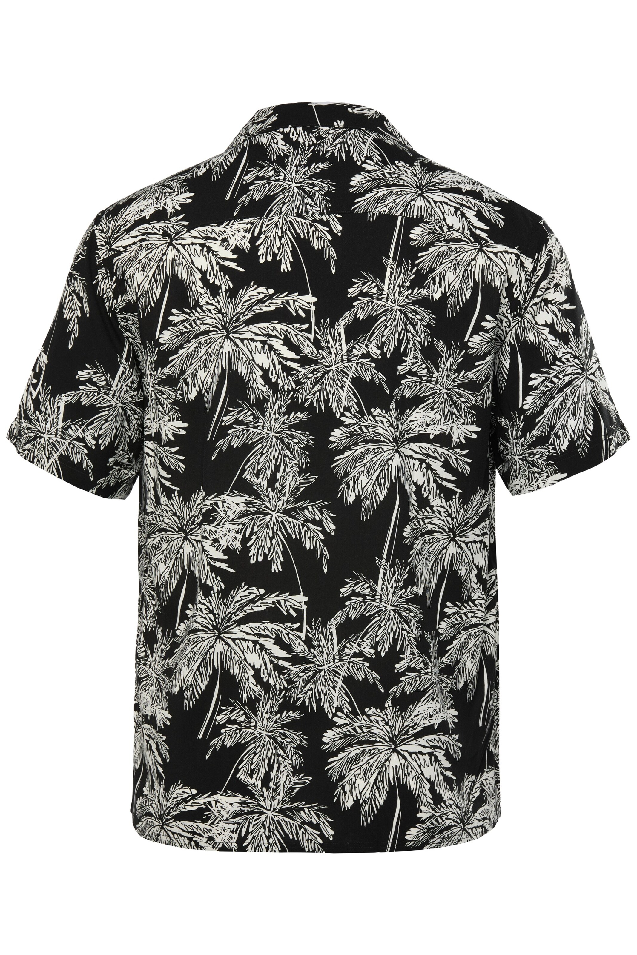 Men Plus Regular fit Button Up Shirt in Black