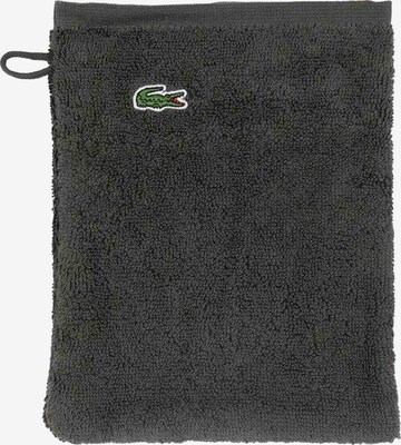 LACOSTE Washcloth in Grey: front