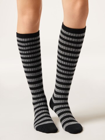 CALZEDONIA Socken in Schwarz