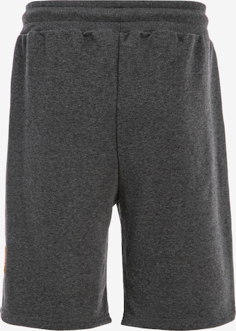 Redbridge Regular Shorts 'Plano' in Grau