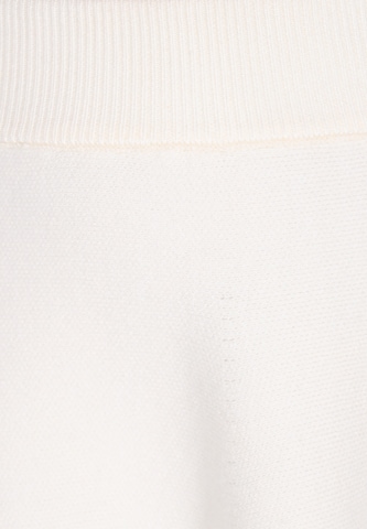 faina Skirt 'Fashion Look' in White