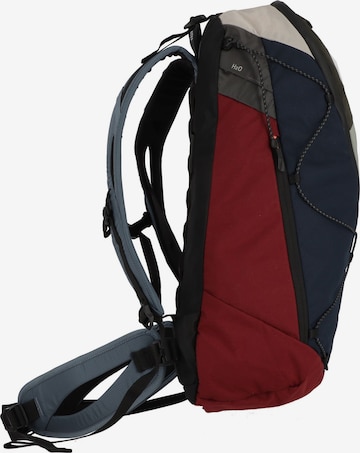 SALEWA Sports Backpack in Mixed colors