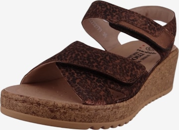 Sandales 'Noor' MEPHISTO en marron : devant