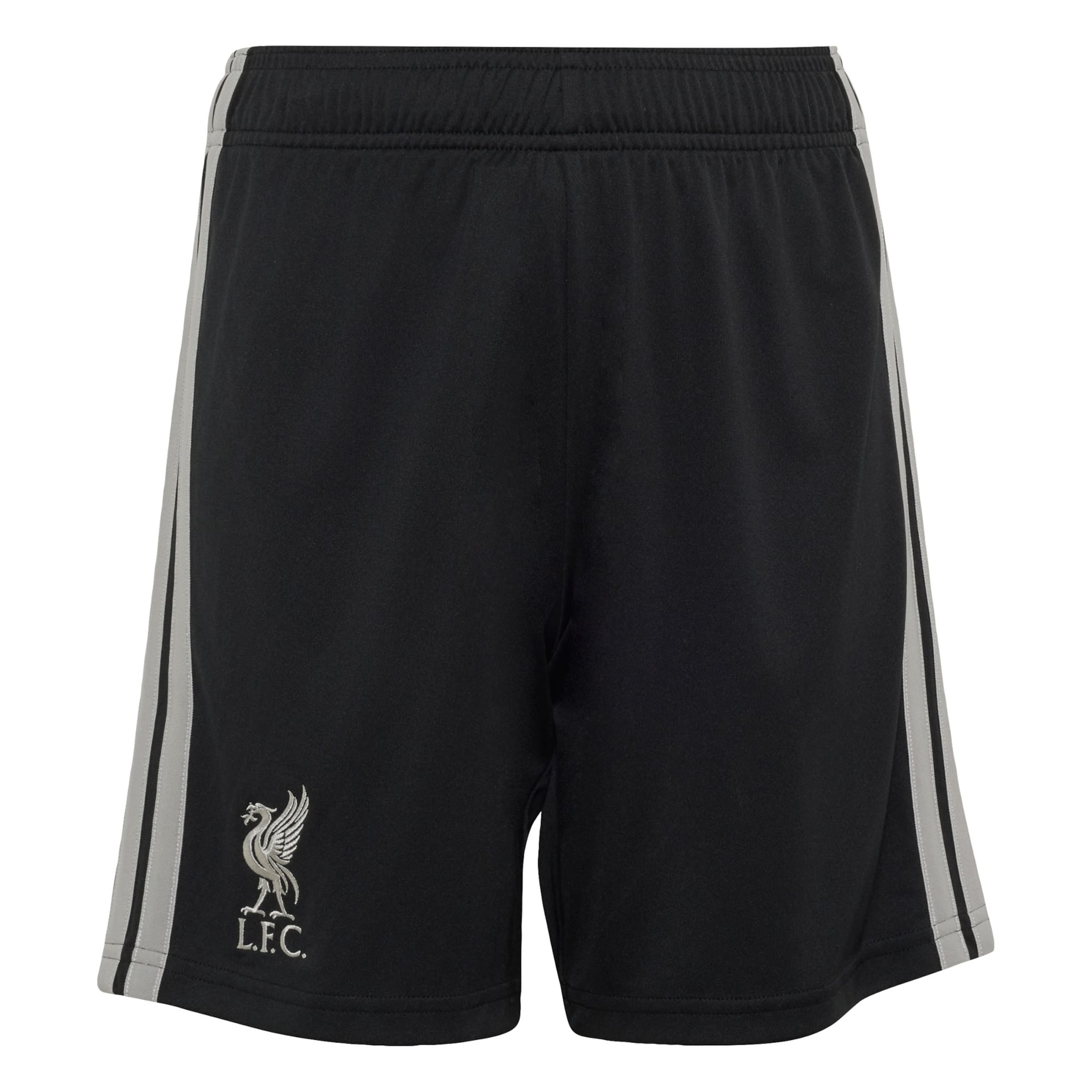ADIDAS PERFORMANCE Normální Sportovní kalhoty 'FC Liverpool 26/27' – černá: přední strana