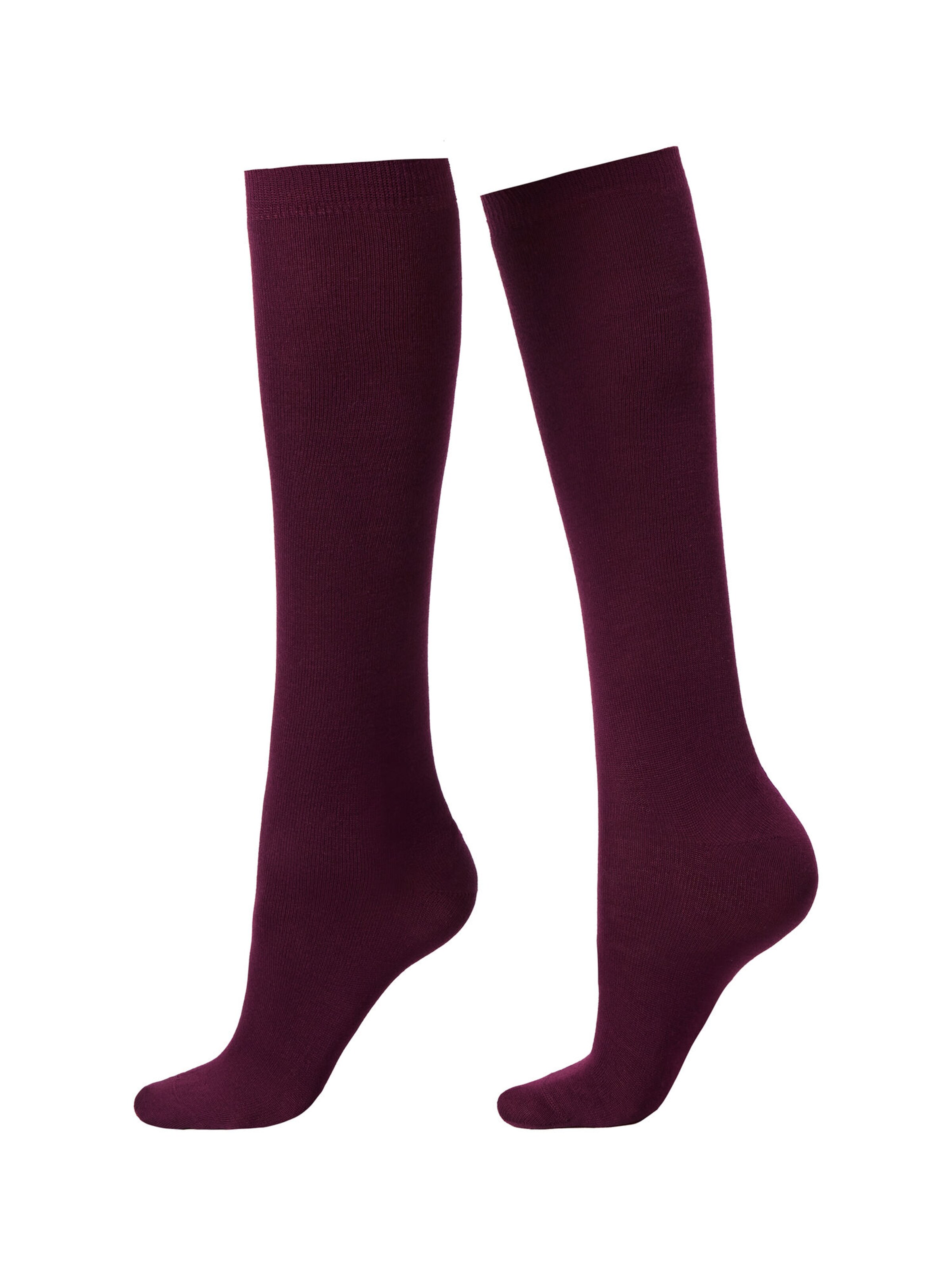 CALZEDONIA Socks in Red: front