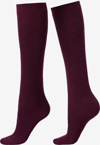 CALZEDONIA Socken in Rot: Vorderseite