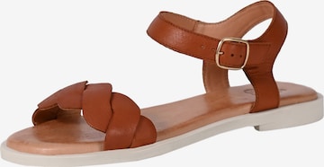 Apple of Eden Sandalen met riem 'AVA' in Bruin: voorkant