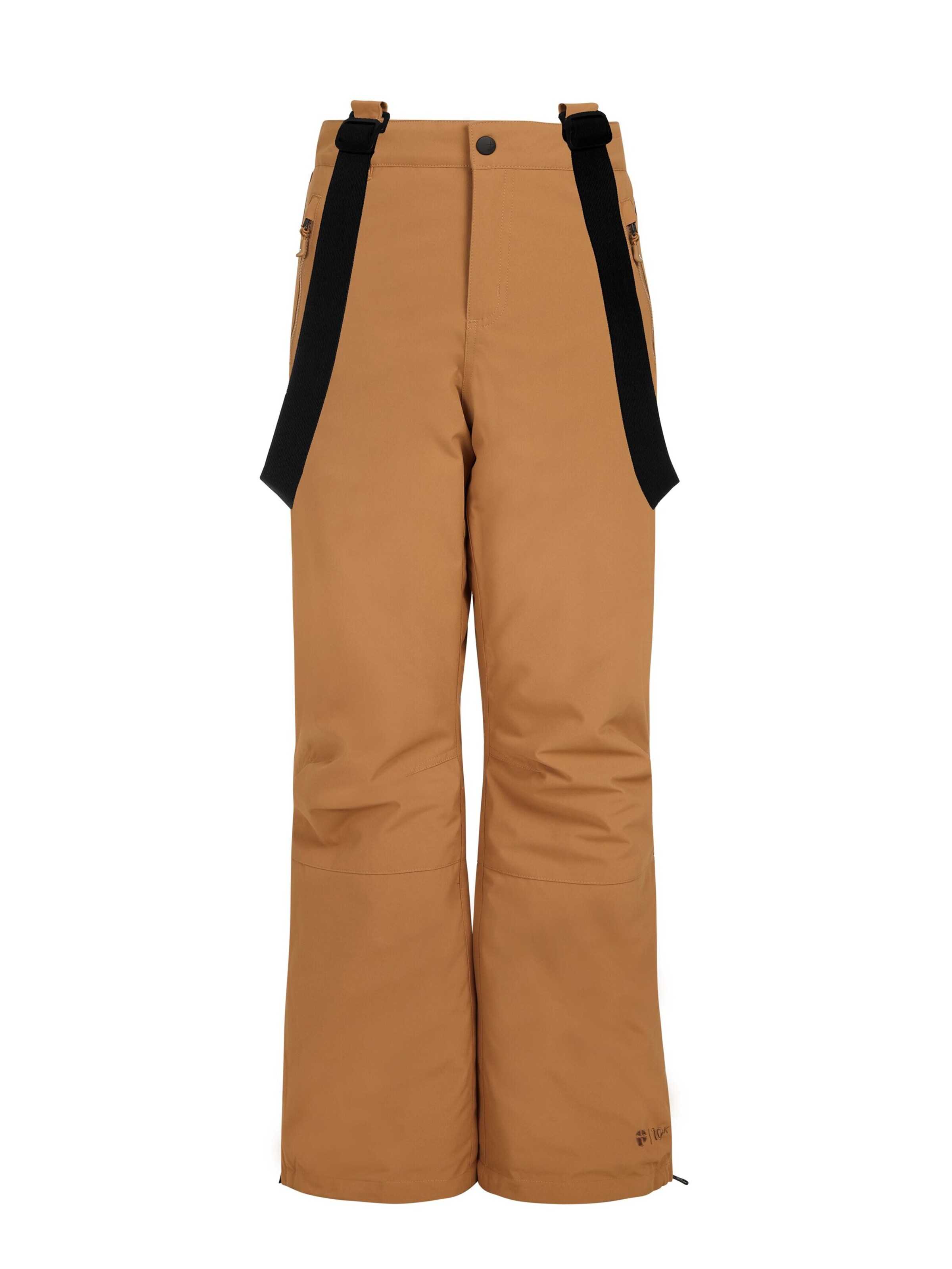 PROTEST Regular Workout Pants 'SPIKET JR' in Brown: front