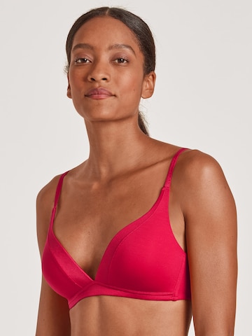 CALIDA Triangle Bra 'Cate' in Red: front