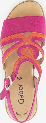 GABOR Sandals in Pink