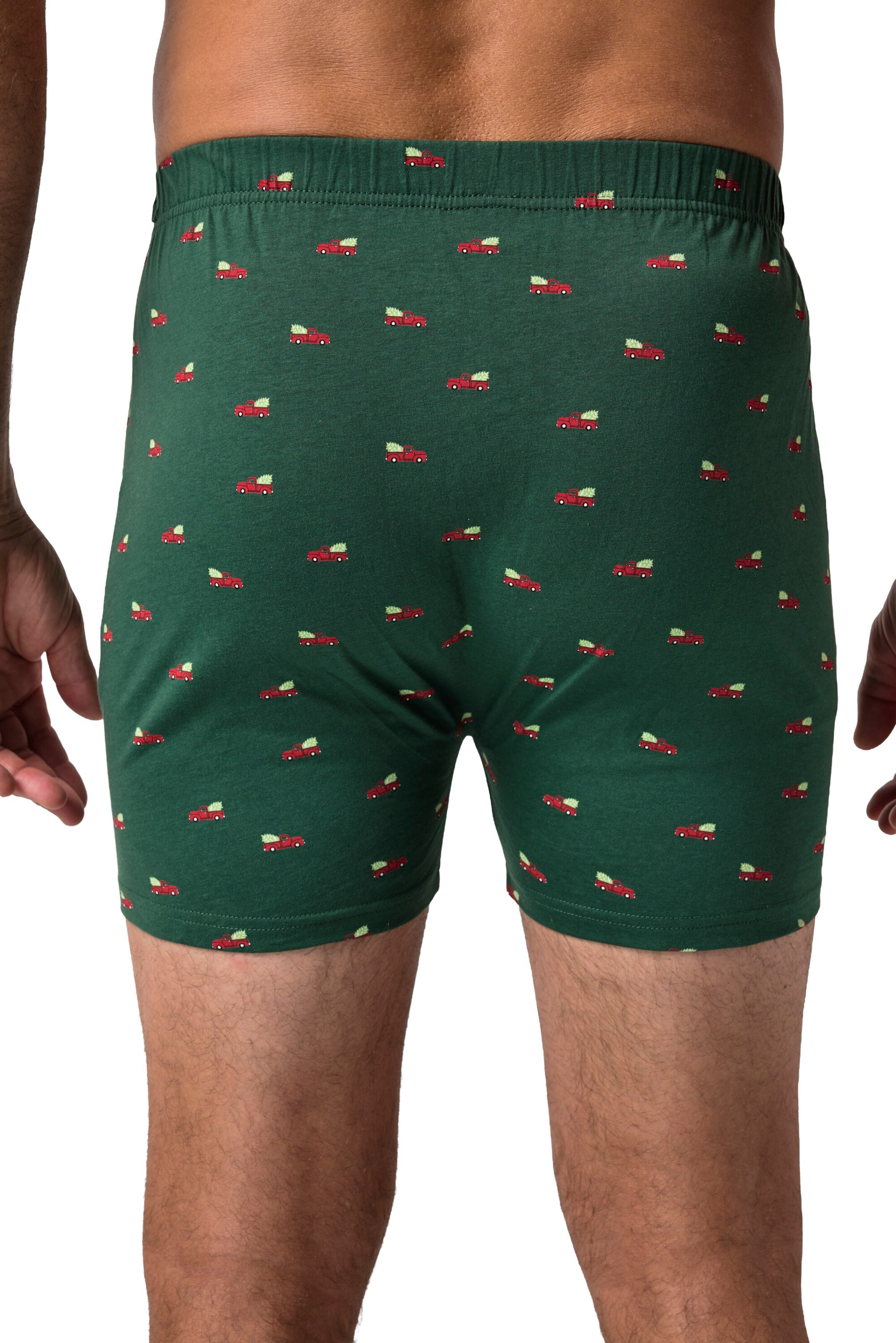 JP1880 Boxershorts in Grün