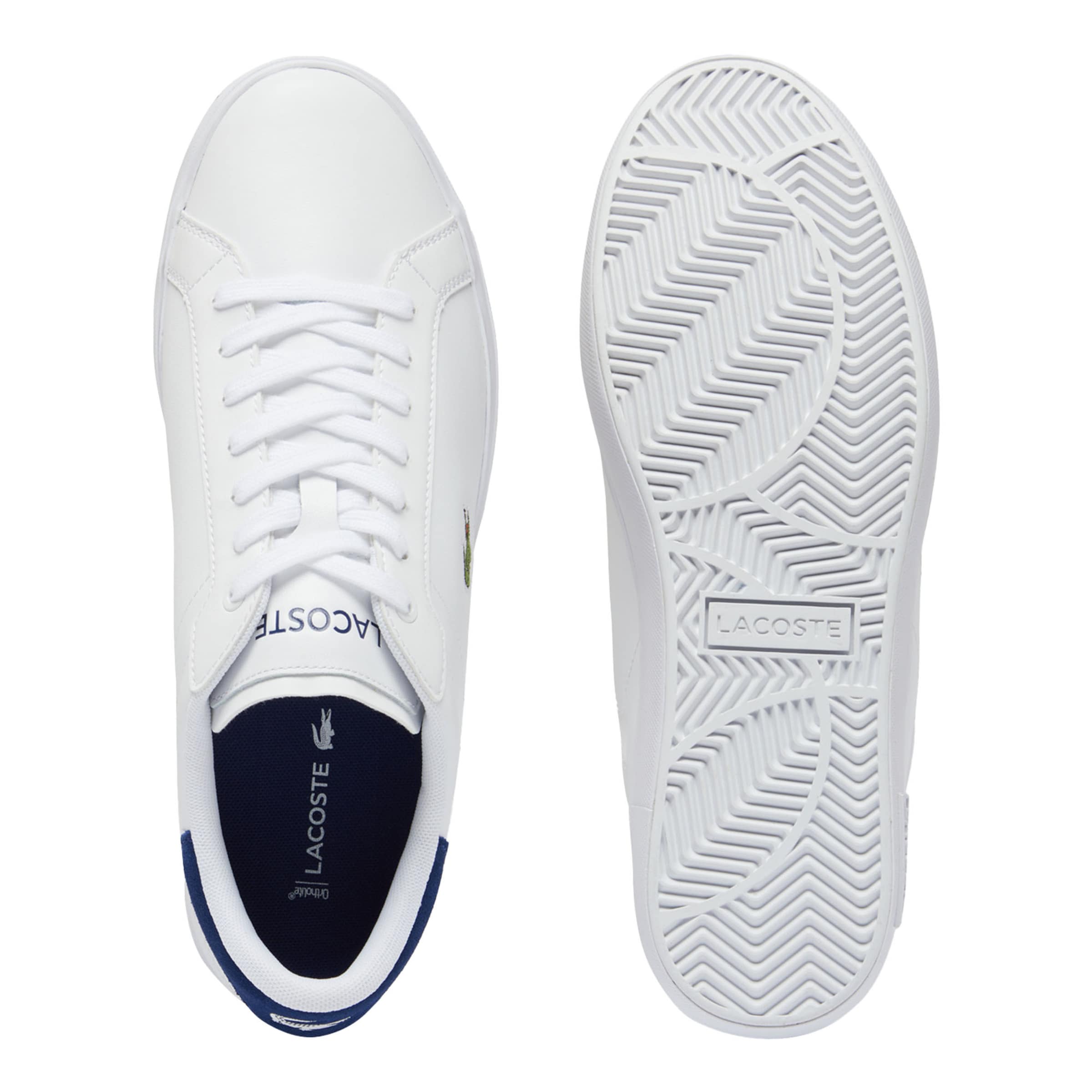 Baskets basses 'Powercourt' LACOSTE en blanc
