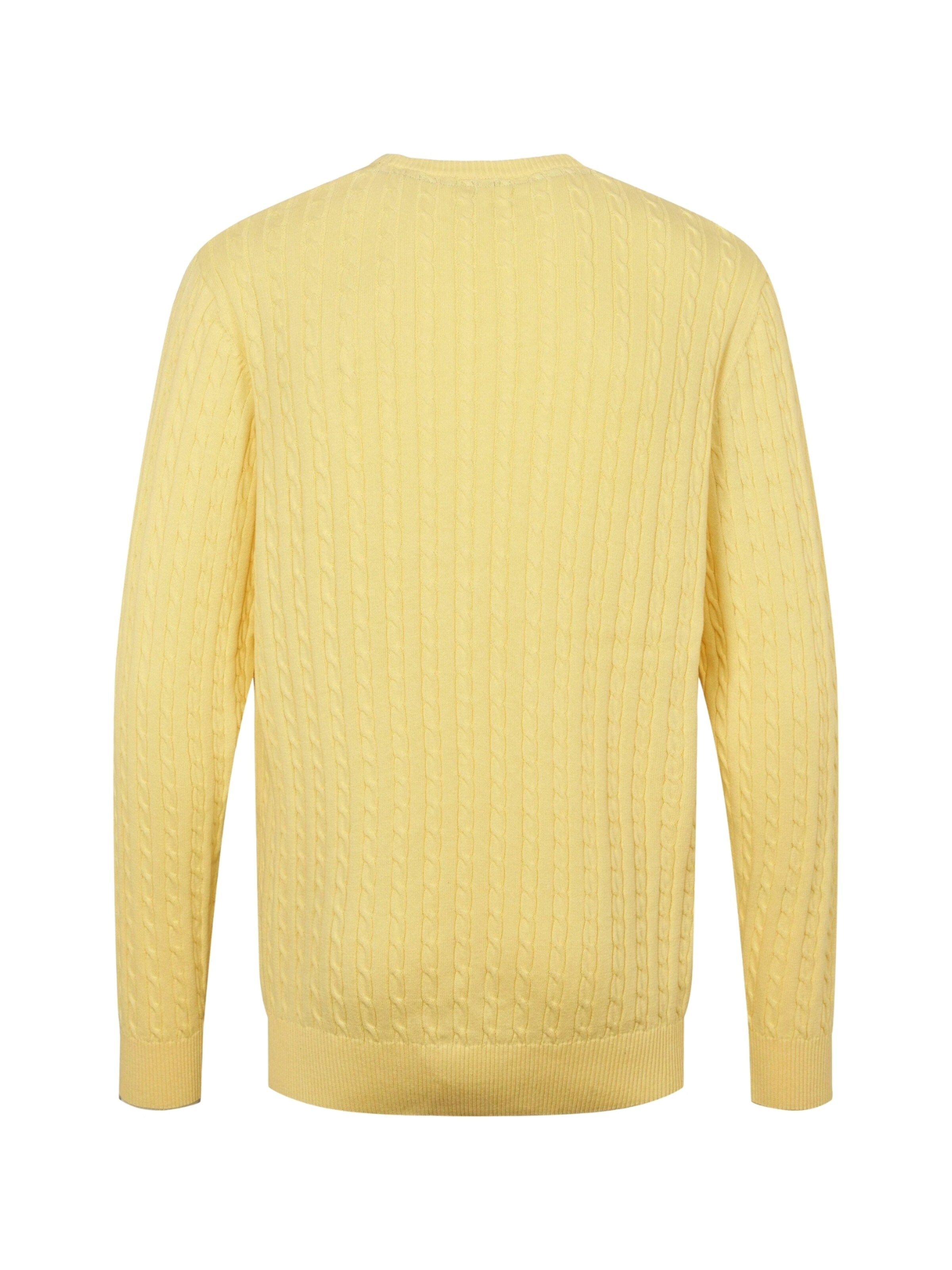 U.S. POLO ASSN. Pullover 'Mads' i gul