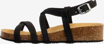 The Divine Factory Sandal in Black: front