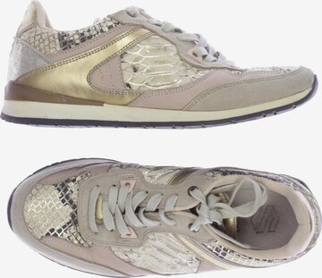 sacha Sneakers & Trainers in 36 in Beige: front