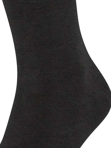 FALKE Socks 'Cool 24/7' in Grey