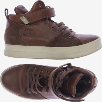 TIMBERLAND Sneakers & Trainers in 38,5 in Brown: front
