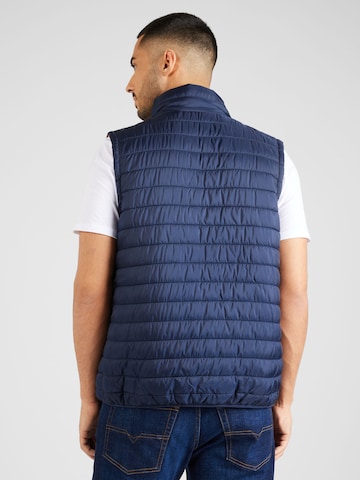 Gilet di ALPHA INDUSTRIES in blu