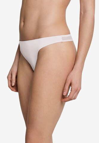 SCHIESSER Thong in Mixed colors